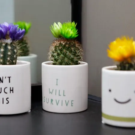 Apartment Live In Sky Penthouse Leeds (West Yorkshire)