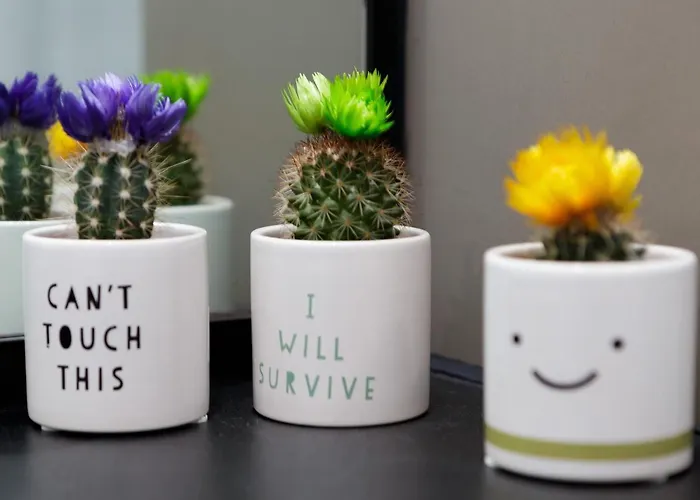 아파트 Live In Sky Penthouse 리즈