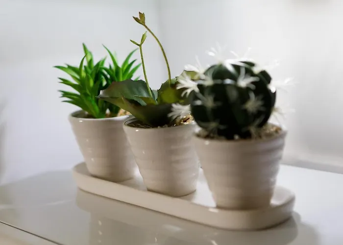 Lägenhet Live In Sky Penthouse *