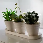 Appartamento Live In Sky Penthouse *