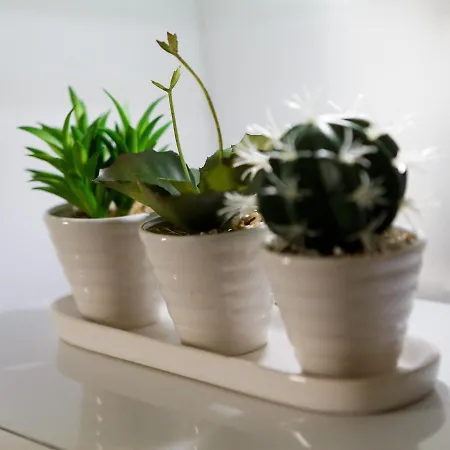 アパート Live In Sky Penthouse *