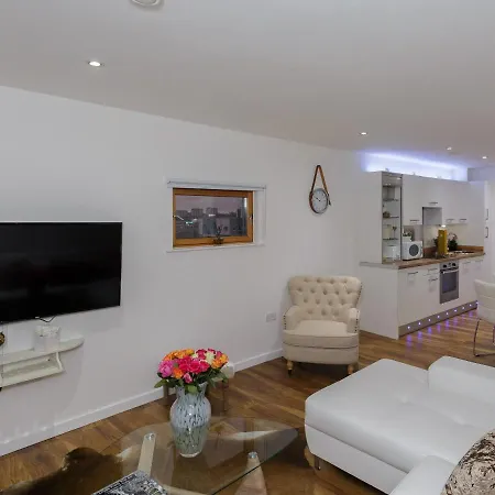 Live In Sky Penthouse アパート リーズ